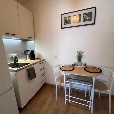 Proche Promenade Des Apartment